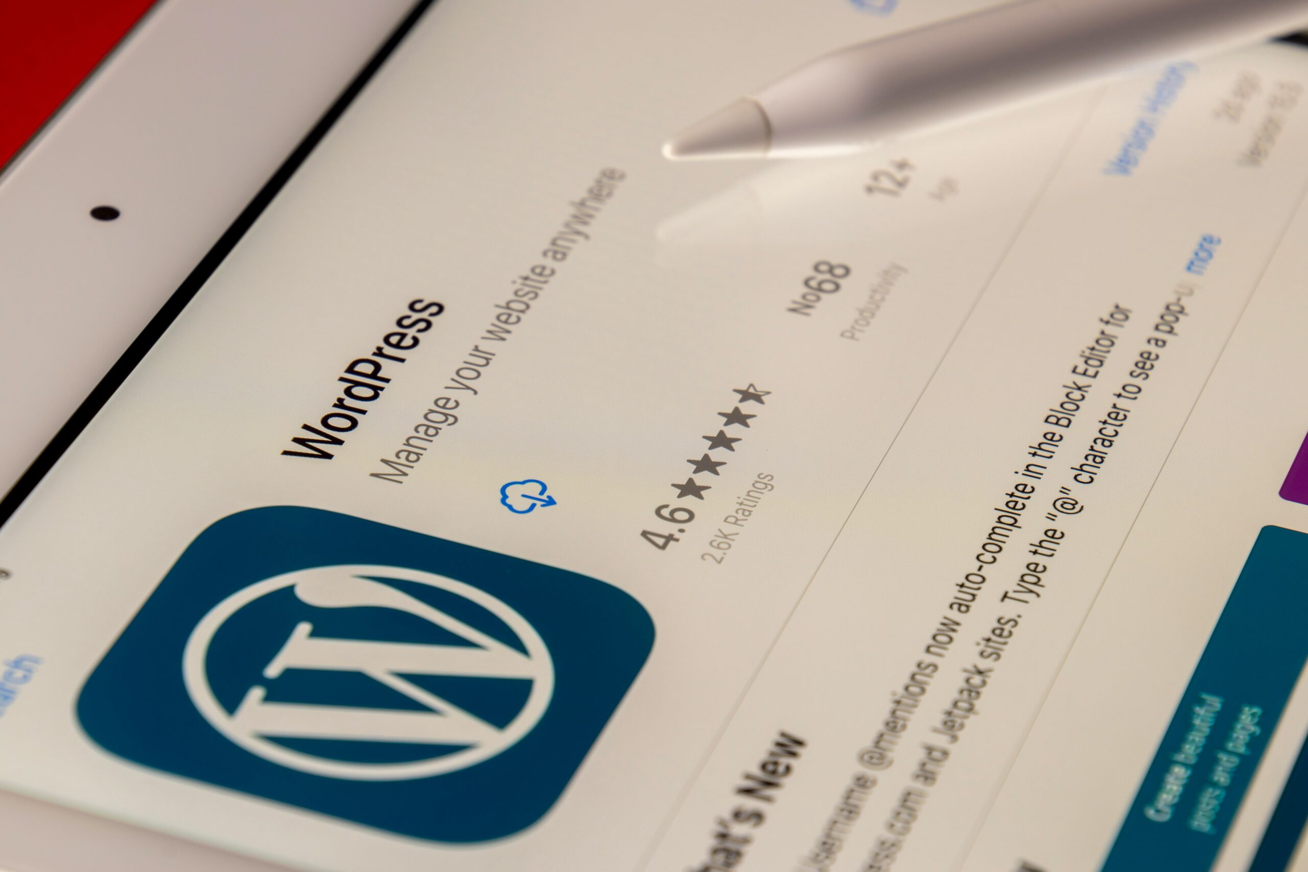 souvik-banerjee–WPrNEM_6dg-unsplash souvik-banerjee--WPrNEM_6dg-unsplash